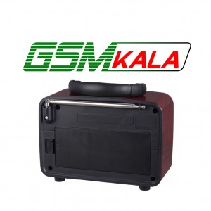رادیو اسپیکر بلوتوثی رم و فلش خور NNS NS-8109BT