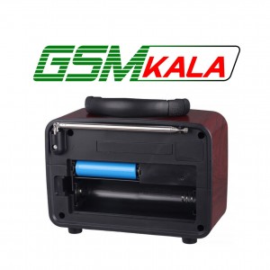 رادیو اسپیکر بلوتوثی رم و فلش خور NNS NS-8109BT