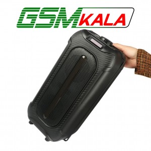 اسپیکر بلوتوثی سینگ ای ZQS4255 + ریموت کنترل