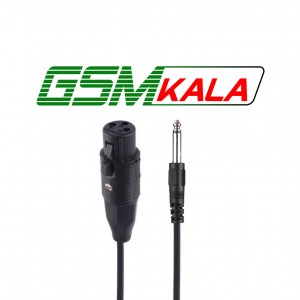 اسپیکر چمدانی بلوتوثی کی تی اس KTS-1713 + میکروفون