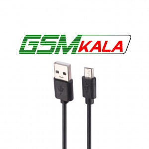 اسپیکر چمدانی بلوتوثی کی تی اس KTS-1713 + میکروفون