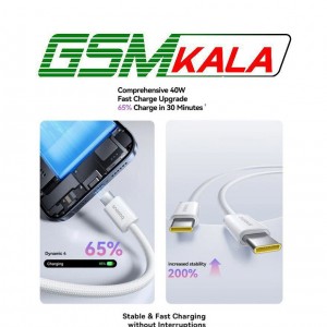 کابل دو سر تایپ سی فست شارژ 100 وات باسئوس P10381400111 طول 1 متر