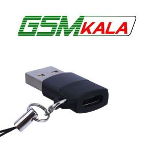 تبدیل OTG تایپ سی به USB یسیدو GS34