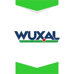 وکسال-آلمان