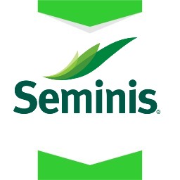 سمینیس-آمریکا