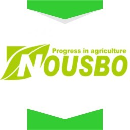 نوسبو-کره جنوبی