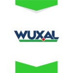 وکسال-آلمان