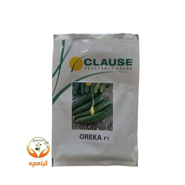 بذر خیار اورکا F1 کلوز | OREKA F1 CLAUSE