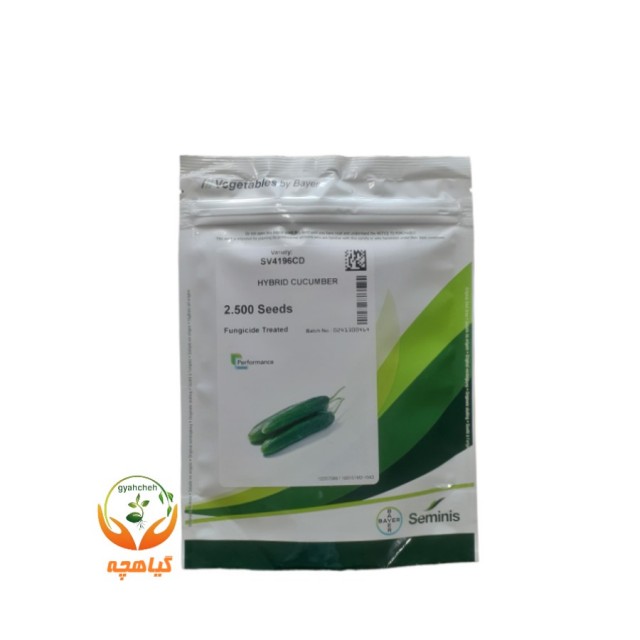 بذر خیار هیبربد 4196 سمینیس | Cucumber CV4196CD Seminis
