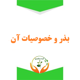 بذر و خصوصیات آن