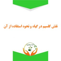 نقش کلسیم در گیاه و انواع کود کلسیم و نحوه مصرف آن