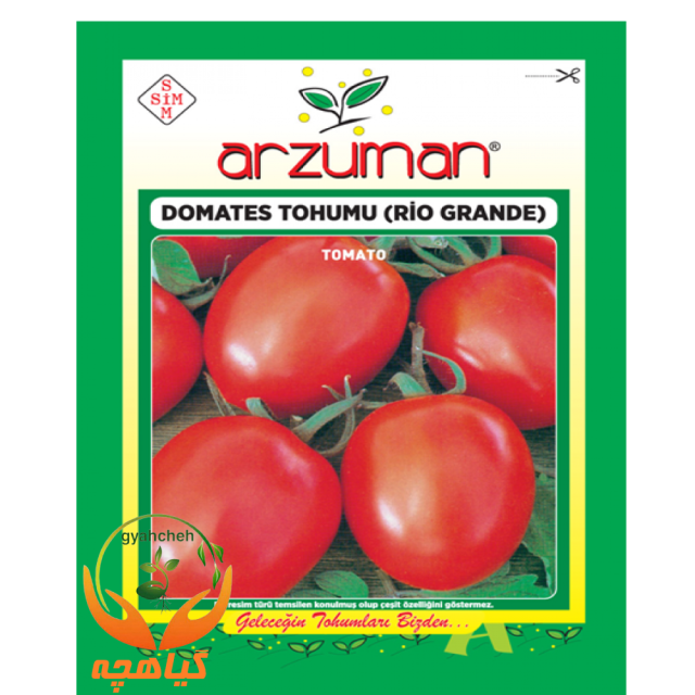 بذر گوجه فرنگی ریو گرند آرزومان | Arzuman