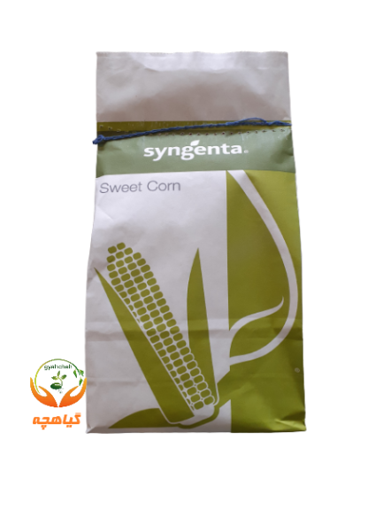 بذر ذرت سوپر شیرین تارگت سینجنتا | Target Syngenta