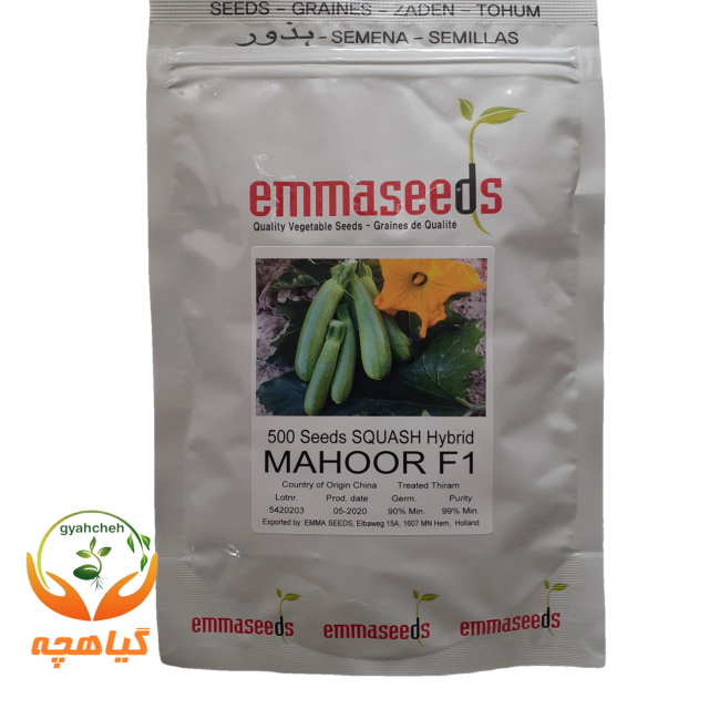 بذر کدو خورشتی ماهور F1 اما سیدز |  Mahoor f1 Emmaseeds