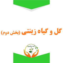 معرفی و شناخت گل و گیاه زینتی (بخش دوم)