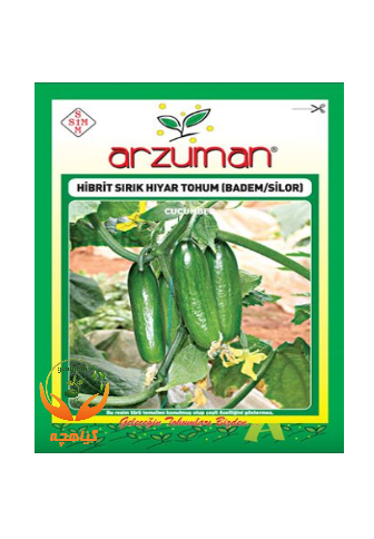 بذر خیار مینی گلخانه ای آرزومان | Arzuman
