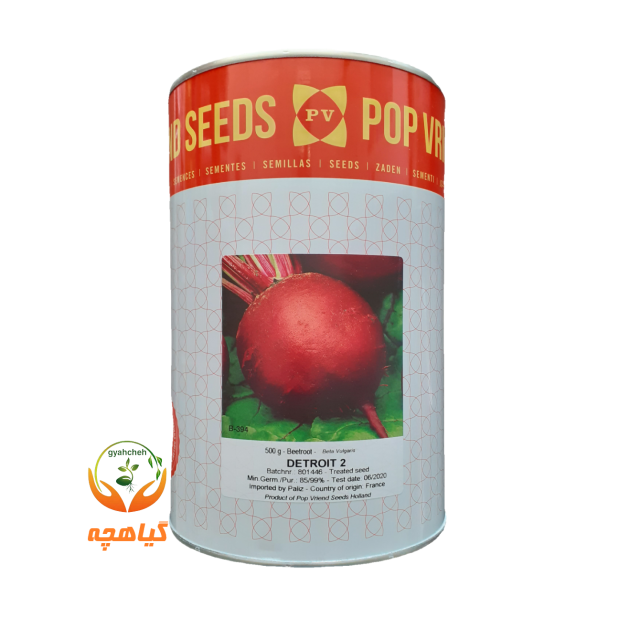 بذر چغندر لبویی دیترویت پوپ | Detroit POP Veriend seeds