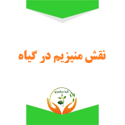 نقش منیزیم در گیاه