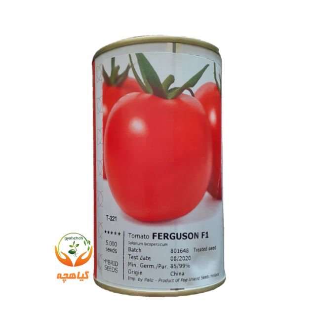 بذر گوجه فرنگی هیبرید فرگوسن پوپ |  Ferguson F1 POP