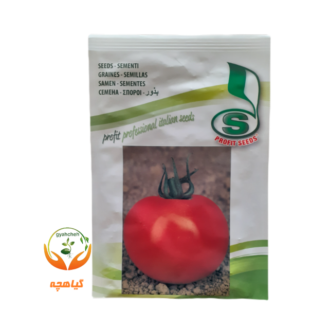 بذر گوجه فرنگی گلخانه ای سیریو پروفیت سید ایتالیا | Syrio Profit seed