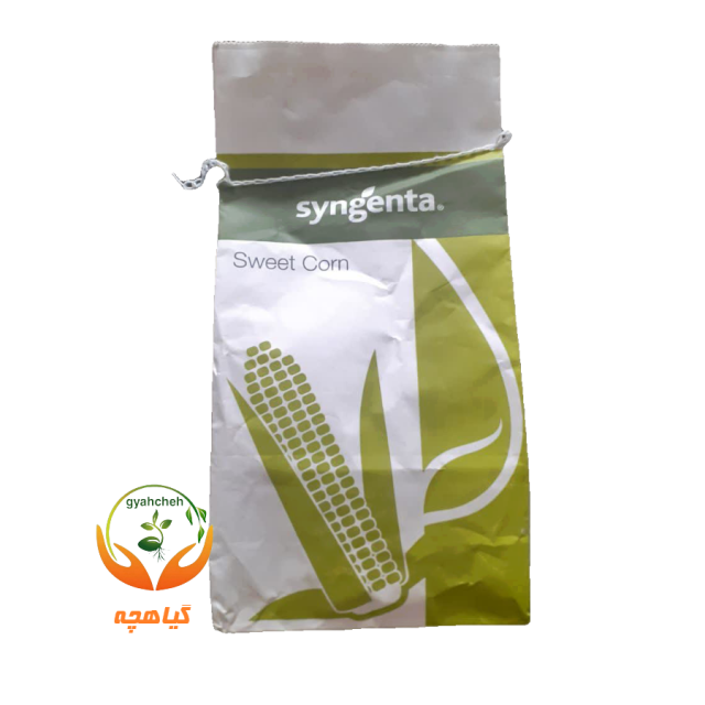 بذر ذرت سوپر سوئیت اکسشن سینجنتا | super sweet corn Accession syngenta