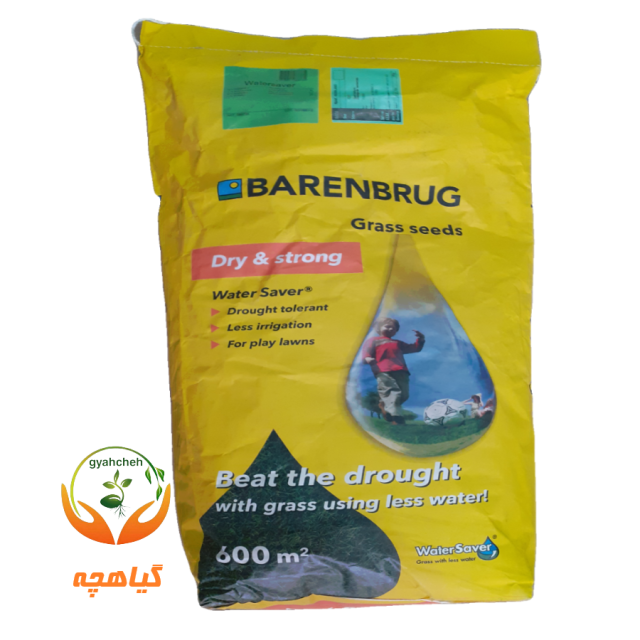 بذر چمن 4 تخم واتر سیور بارنبروگ هلند | Barenbrug Grass seeds