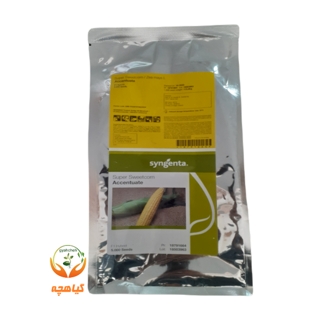 بذر ذرت سوپرشیرین اکسن چوئیت سینجنتا |Super sweetcorn Zea mays Accentuate Syngenta