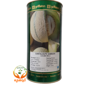 بذر طالبی سمسوری گریفاتون فرانسه | SAMSURI griffaton