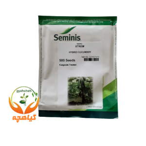 بذر خیار گلخانه ای سوپر سلطان (اکسترم) سیمینس | XTREM Seminis