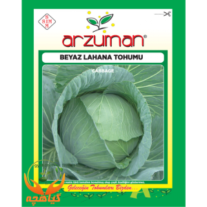 بذر کلم پیچ سبز آرزومان | Arzuman