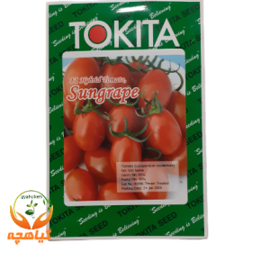 بذر گوجه فرنگی گلخانه ای چری سان گریپ توکیتا ژاپن