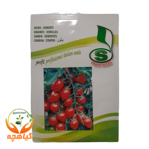 بذر گوجه فرنگی چری هیبرید دولچتو پروفیت سید ایتالیا | Dolcetto