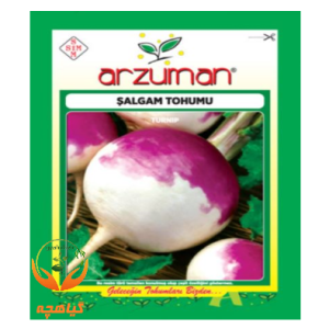بذر شلغم دو رنگ آرزومان | Arzuman