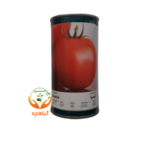 بذر گوجه فرنگی کیمیا فلات | Kimia Falat