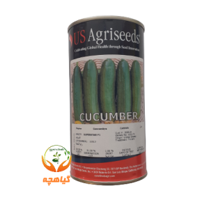 بذر خیار سوپر استار یو اس اگری سیدز | US Agriseeds