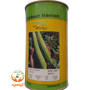 بذر خیار چنبر ری شهر زر  بذر ایرانیان | Zar Bazr Iranian