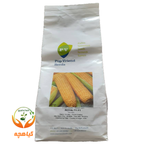 بذر ذرت شیرین رویالتی پوپ هلند | Royalti POP