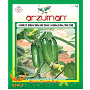 بذر خیار مینی گلخانه ای آرزومان | Arzuman