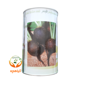 بذر ترب سیاه گرد ایتالیایی | Profit seeds