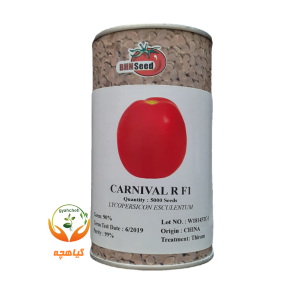 بذر گوجه فرنگی هیبرید کارنیوال آمریکا | Carnival R BHN