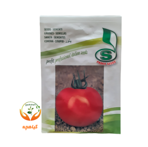 بذر گوجه فرنگی گلخانه ای سیریو پروفیت سید ایتالیا | Syrio Profit seed