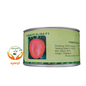 بذر گوجه فرنگی  هیبرید الیسا برند هایزر زادن هلند | Elisa F1 Huizer Zaden