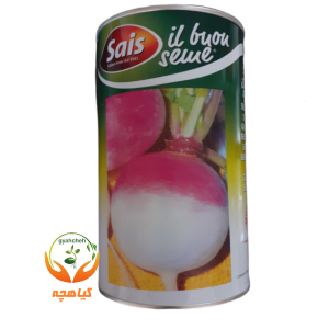بذر شلغم  تاپ وایت گلوب سایس ایتالیا | turnip purple top white globe
