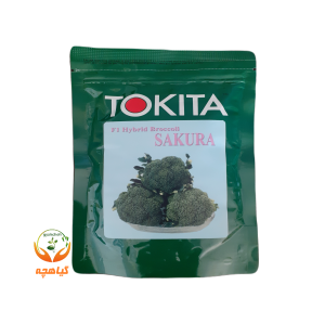بذر کلم بروکلی هیبرید ساکورا F1 توکیتا | F1 hybrid Broccoli Sakura