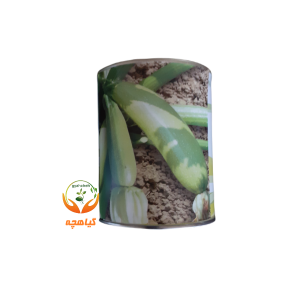 بذر کدوی هیبرید پالوما پروفیت سیدز | Paloma F1  Profit seeds italy