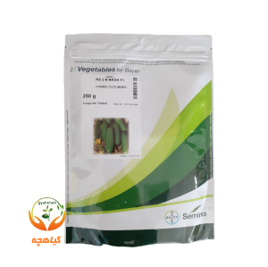 بذر خیار هیبرید دو ان نادا F1 سمینیس آمریکا | RS 2 N NADA F1