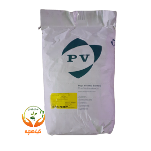 بذر اسفناج هیبرید 7141 پوپ | POH 7141 F1 Spinach POP