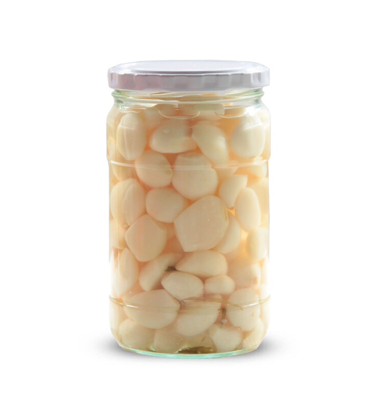 سیر صدفی - شیشه ای