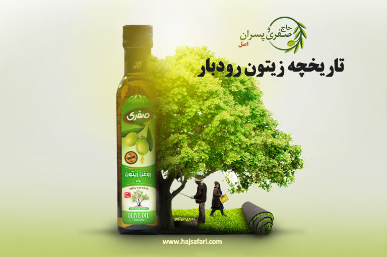 تاریخچه، نماد و راهنمای خرید زیتون اصل