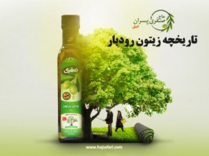 تاریخچه زیتون و نماد آن + قدمت زیتون در رودبار